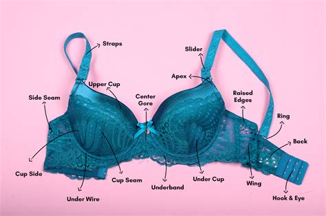 bra parts name|anatomy of bra parts.